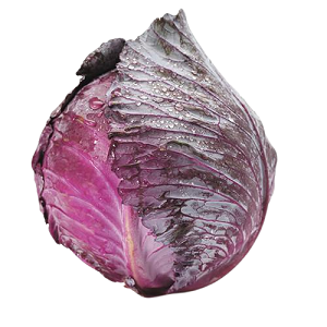 Buy Red Cabbage