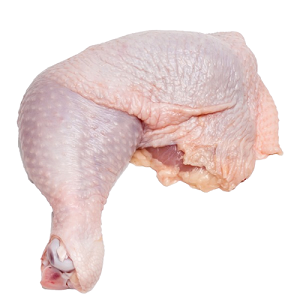 Buy Frozen Chicken Leg