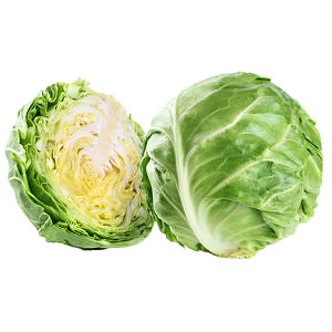 Buy Fresh Cabbage