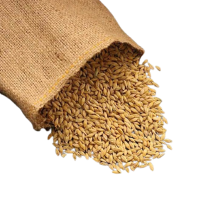 Barley